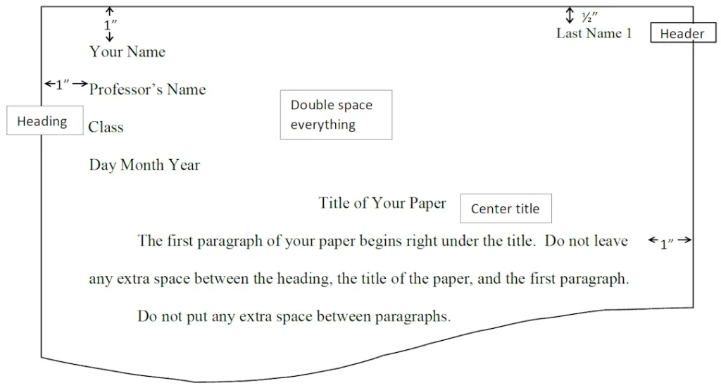 Lingua Litera mla format